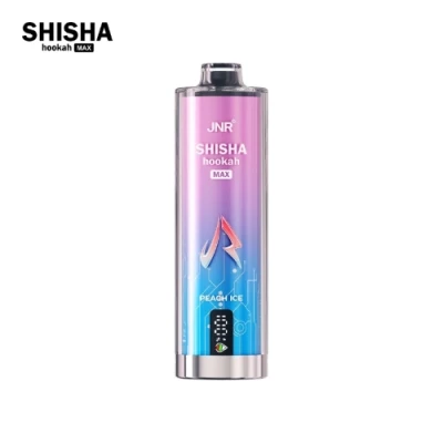 Shisha Max 22K Puffs Disposable Vape